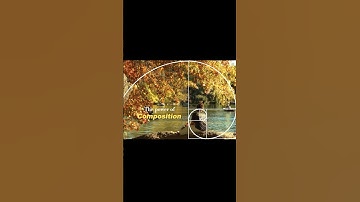 The Power of Composition