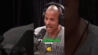 The Raw Truth of David Goggins Struggle: Unfiltered Authenticity