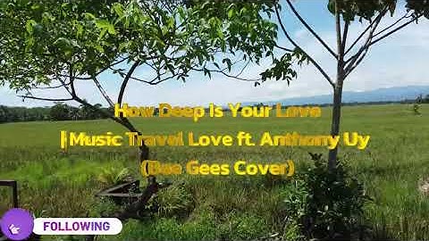 How Deep Is Your Love | Music Travel Love ft. Anthony Uy (Bee Gees Cover)