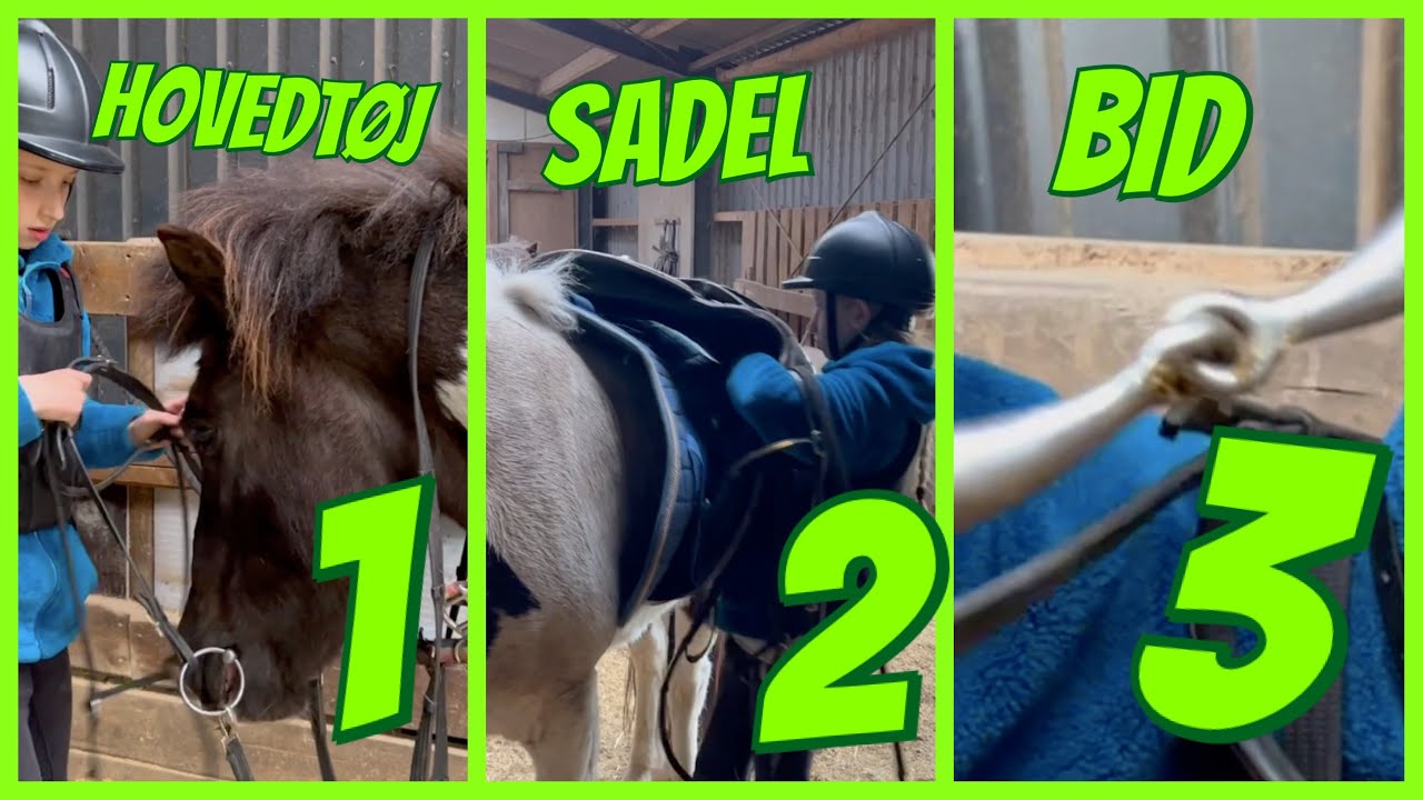 Hvordan sadler man en hest af?