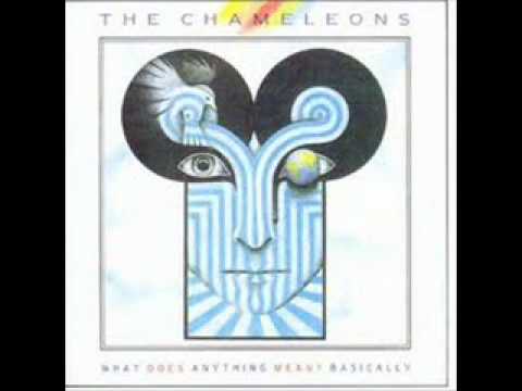 The Chameleons - P.S. Goodbye (demo version) - YouTube