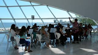 Harmonious Blacksmith by Handel - LYP Summer Strings at the Milwaukee Art Museum - 8/12/17
