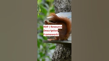 RDF (Resource Description Framework)?