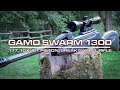 Gamo Swarm 1300 .177, 10X, IGT Piston, Break Barrel Rifle review 2020 #gamoswarm