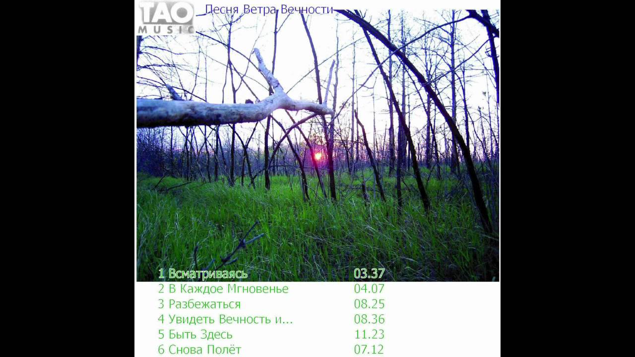 Ветер и вечность том 2. Всматриваясь в вечность.