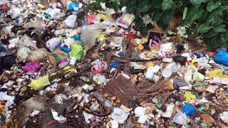 Amazon River of Plastic