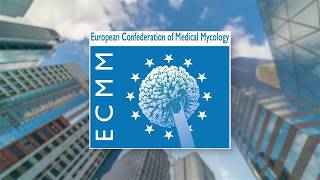 Ecmm Initiatives Excellence Centers, Fellows, And Guidelines
