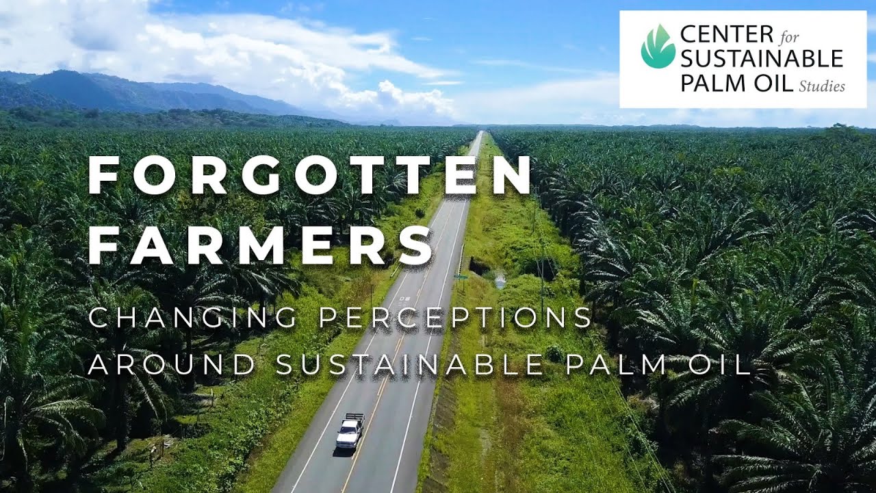 The Center For Sustainable Palm Oil Studies Cspo