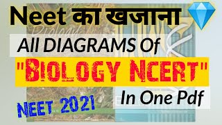 NEET 2021: All Diagrams Of Ncert Biology In 1 Pdf 🔥🔥| Neet Final Revision | Ncert Biology
