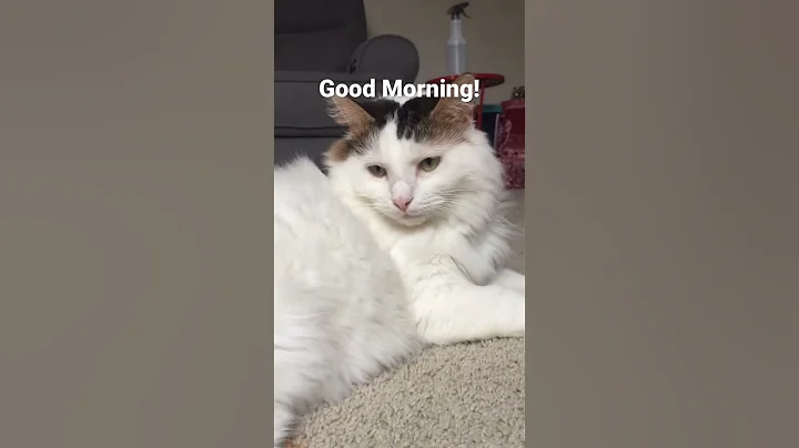 Good morning ☀️😃 - DayDayNews