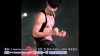 [HD] Super Junior(銀赫+東海) - I Wanna Love You 繁體中韓字幕
