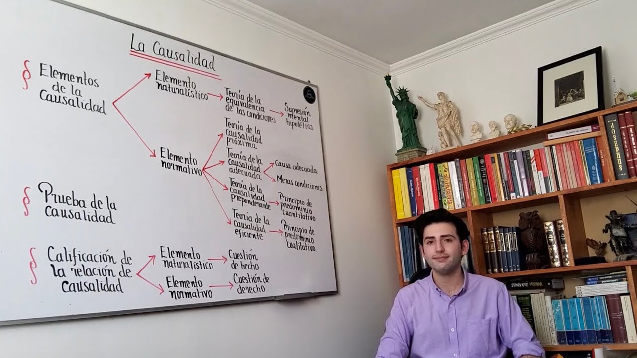 La Causalidad en la Responsabilidad Civil y Penal (1)