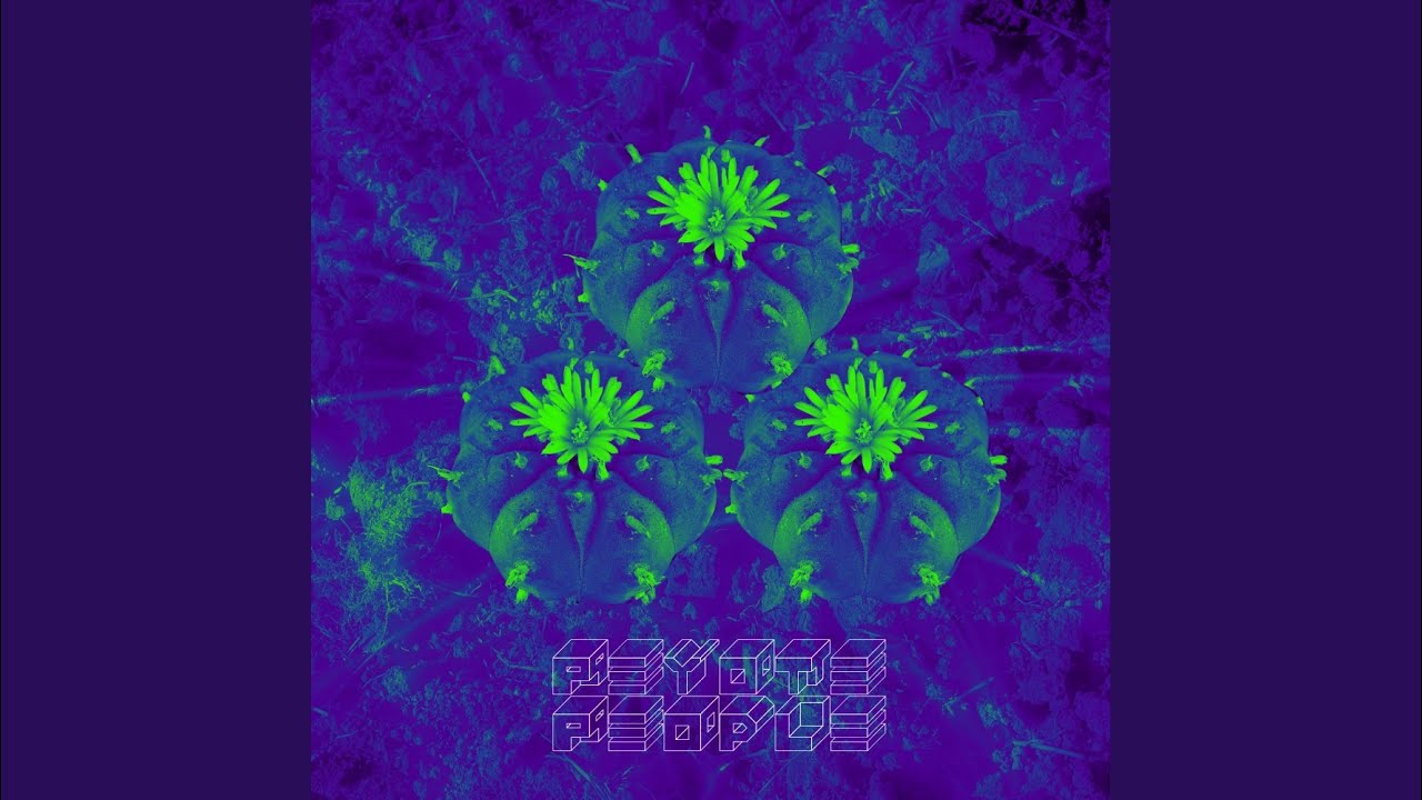 Watch MS202 on YouTube Watch MS202 on YouTube