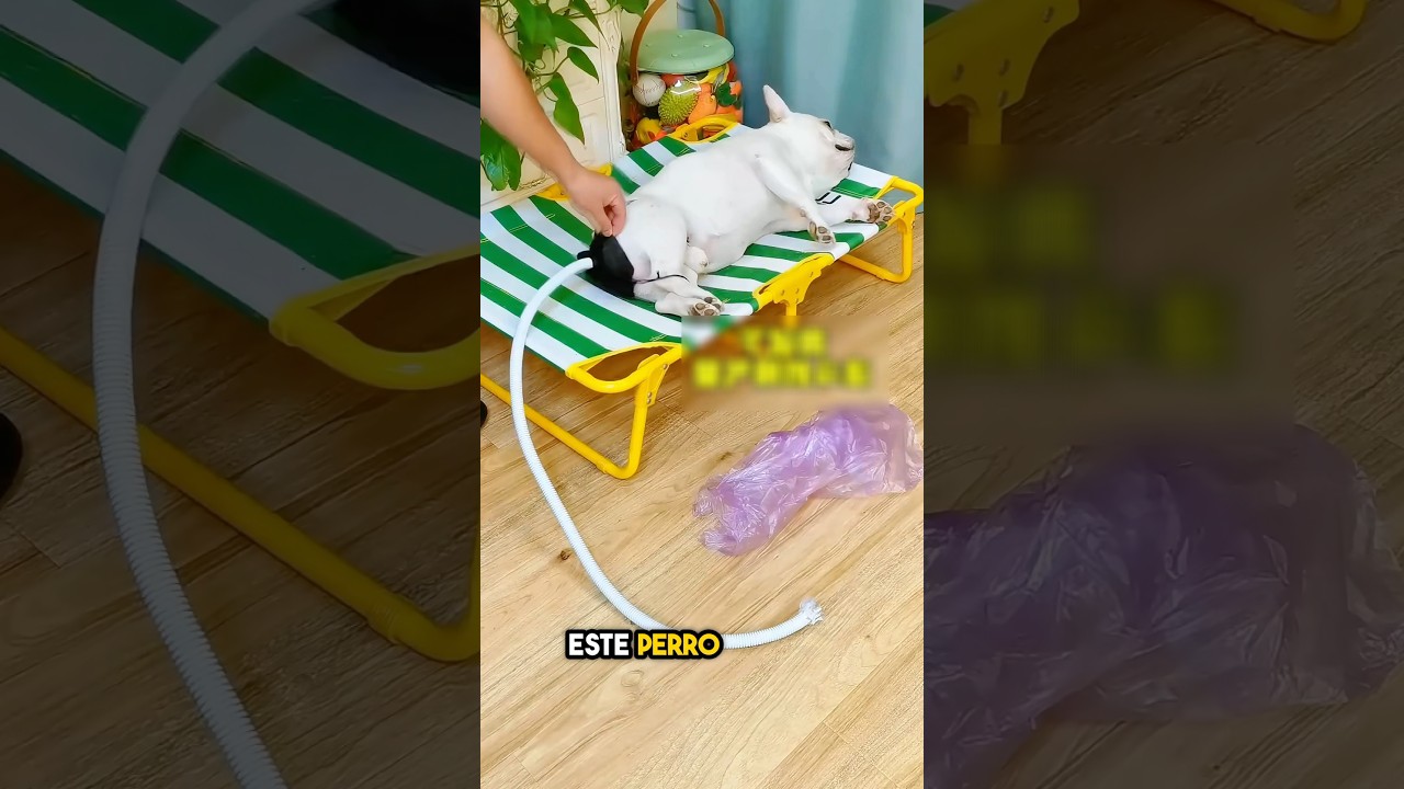 ¡Nunca inhales de ese globo!😂(@dfo-daofeng)