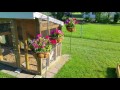 Chicken Coop Chicken Run Chicken Coop Chicken Run