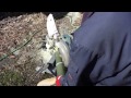 門松の竹を切る の動画、YouTube動画。