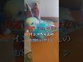 絶対に見逃してはいけないインコちゃんのお別れのサイン