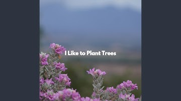 Background for Thoughtful Vibes