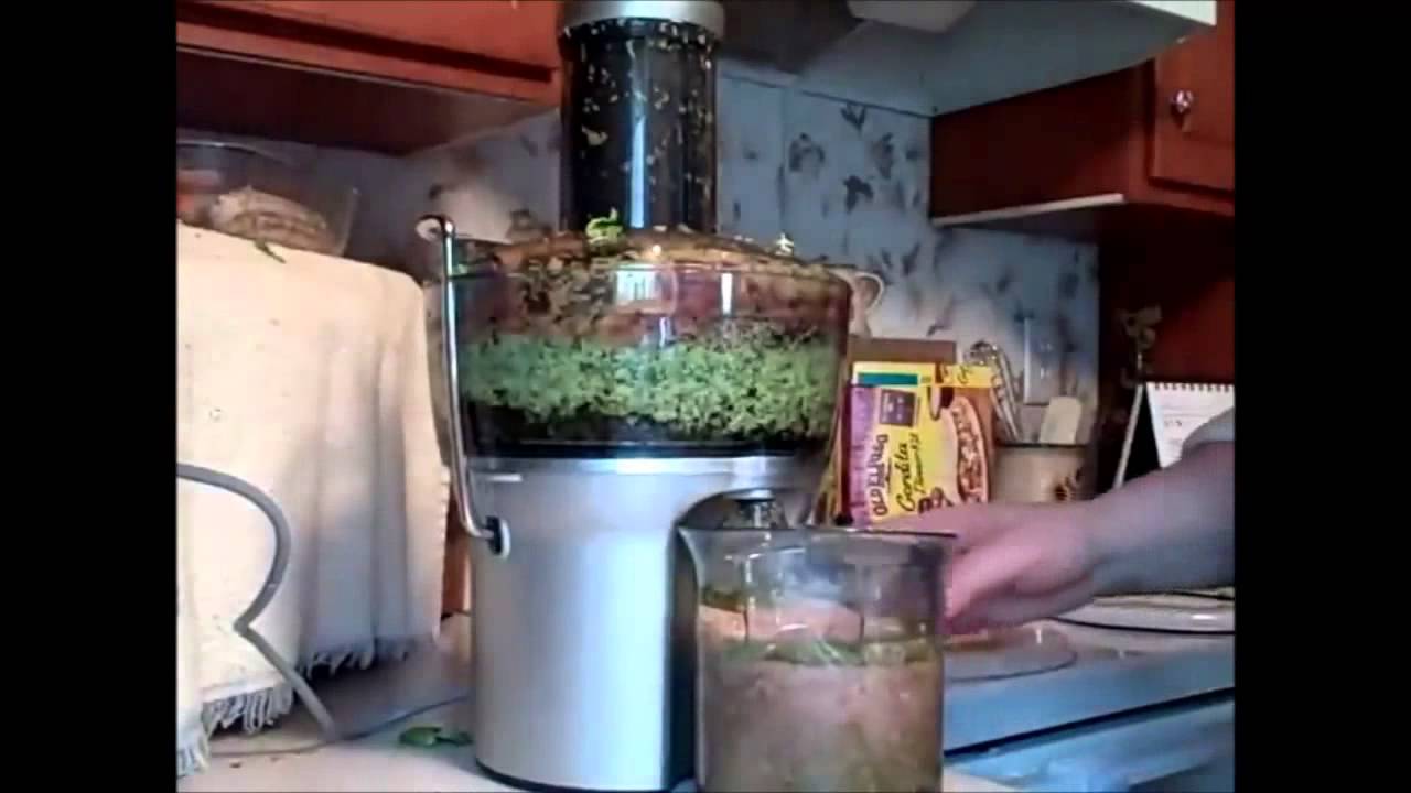 Breville Juicer BJE200XL Review YouTube