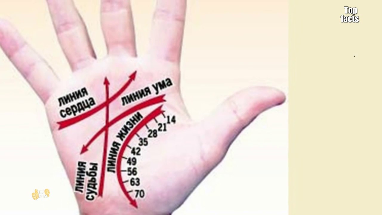 как узнать сколько проживет человек. хиромантия бугор сатурна. как узнать сколько проживет человек. линии на ладони. как узнать сколько проживет человек.