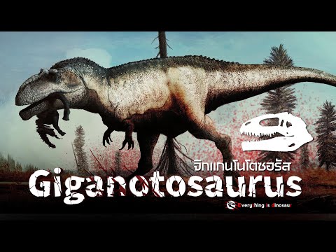 "จิกแกนโนโตซอรัส" ไดโนเสาร์ยักษ์กินเนื้อแห่งแดนใต้ |Giganotosaurus