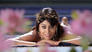 Video thumbnail of "Shriya Saran ...Persian Queen... Sexy Dancing kaoma Lambada songs"