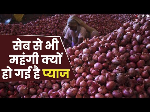 10 दिन में पेट्रोल से भी महंगा हुआ प्याज: कांग्रेस बोली- क्या कर रही सरकार? | Onion Price India