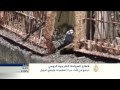 اقتصاد المنتصف 28/12/2014