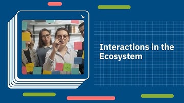 Interactions in the Ecosystem