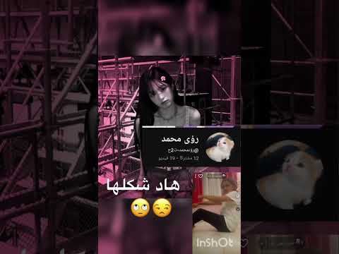 بليز بلغة عليها التس  لايك اشتراك