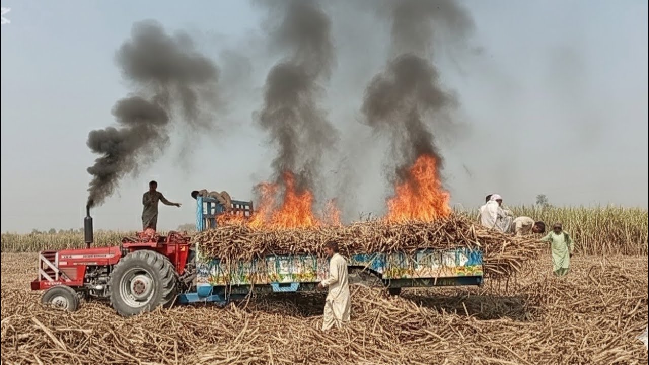  sagur can loaded trolley ko fire lag or trolley ha kr water gar gi or big loss ho kisan KO 🔥🔥🔥😱