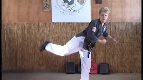 Tracy Kenpo Karate Yellow Belt Returning Dragon