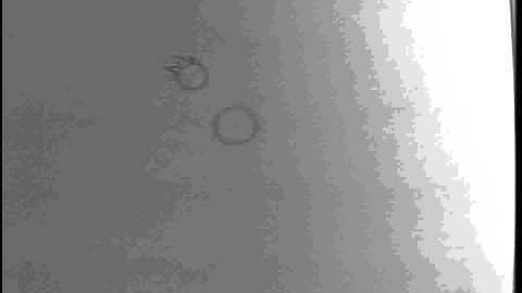 SCAD Animation Assignment 2: Bouncing Balls