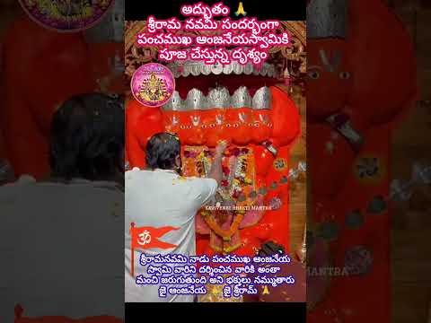 అద్భుతం 🙏శ్రీరామ నవమి సందర్భంగా పంచముఖ ఆంజనేయస్వామికి పూజ చేస్తున్న దృశ్యం #shortsfeed #ramnavami