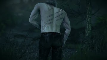 The Witcher 2 - hair z-fighting