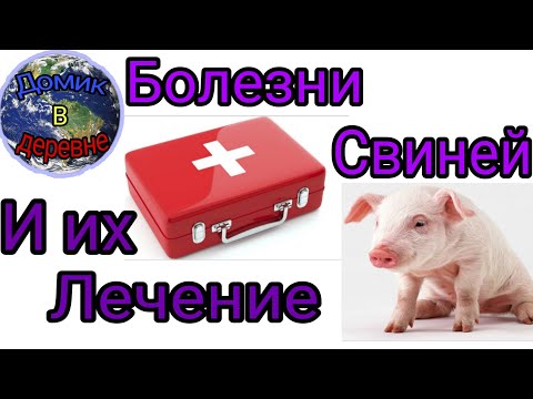Болезни свиней и их лечение