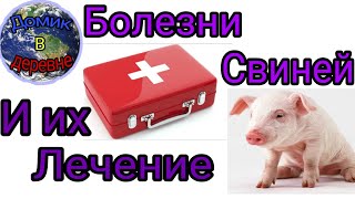 Болезни свиней и их лечение