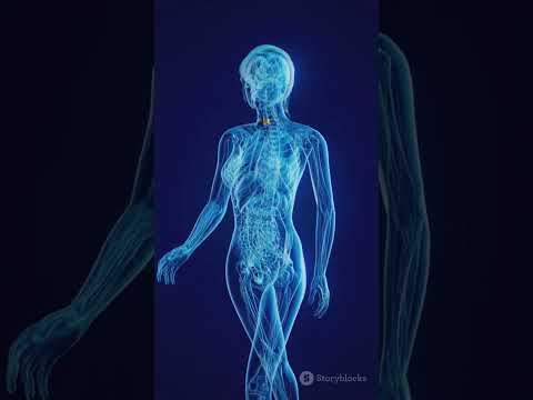علاج نهائي لفرط نشاط الغدة الدرقية مع الدكتور حسن العمري   