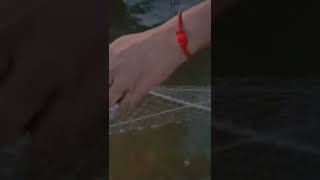 Catch fish in the River