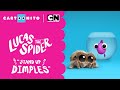 Lucas the Spider - Stand Up Dimples! - Short