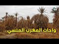 واحة أم الجير بدوار تيكان التي كانت في الماضي جنات النخيل ..للأسف أصبحت اليوم واحة يابسة منسية