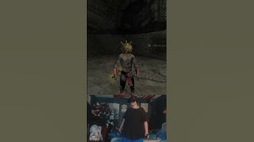 We do a little bit of trolling #Skyrim #Vr | #ziggyfrancisco on #Twitch