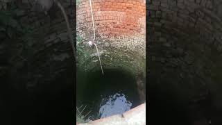 Piya Pani Lene Gai Kuen Par Kajal Blog Viral Short Video