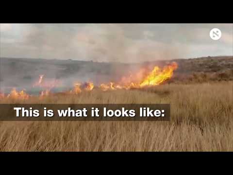 This is what the damage from Gaza's burning kites looks like