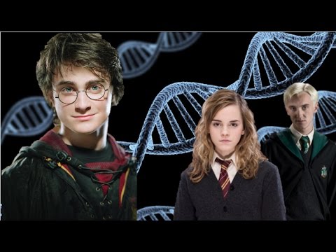 Video: Ar Haris Poteris buvo pilnas kraujo?