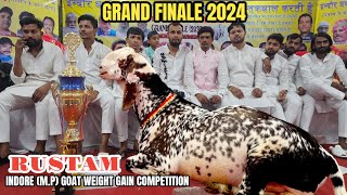 INDORE (M.P)GRAND FINALE 2024 | GOAT WEIGHT GAIN COMPETITION,| INDIA