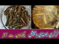 Aftab Mughal Activities | کُرکُری بہنڈی
