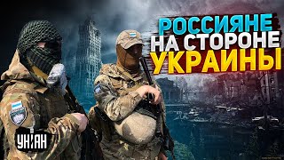 Россияне и чеченцы в рядах ВСУ крошат путинских орков - эксклюзив с передовой