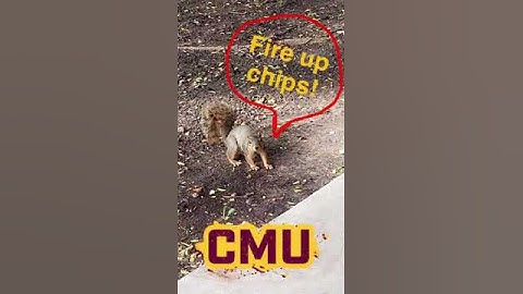CMU Homecoming