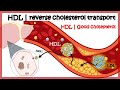 HDL ( Reverse cholesterol transport)